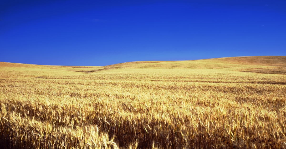 Kansas Governor Wants China to Buy Land Near Military Installations