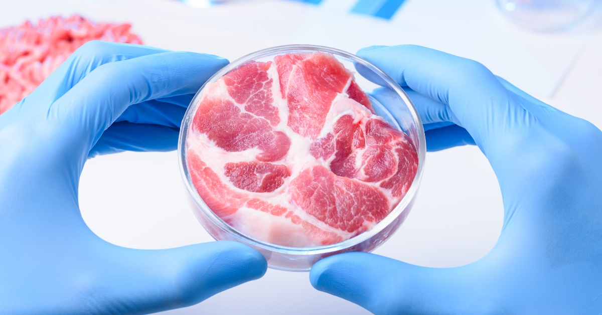 Pentagon Contractor Wants to Feed U.S. Soldiers Lab-Grown Meat