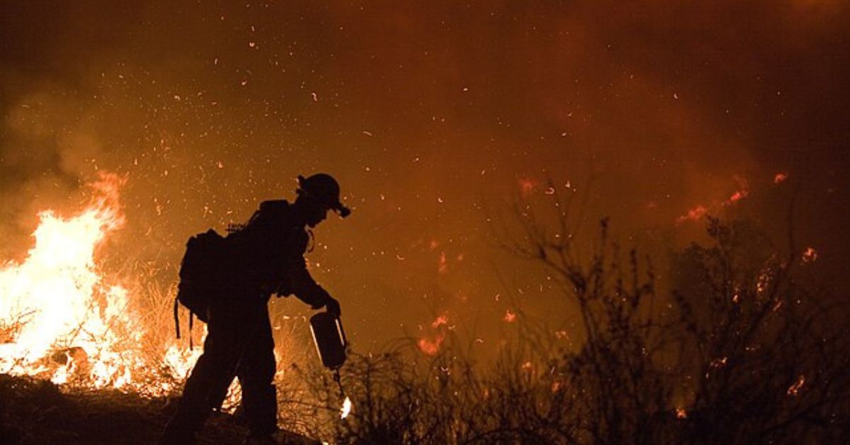 Thank DEI for California’s Wildfire Disaster